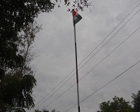 Image 01